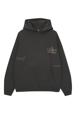 Sweat à capuche La Création d'Adam - Anthracite