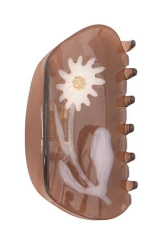 Pince à cheveux - Marron