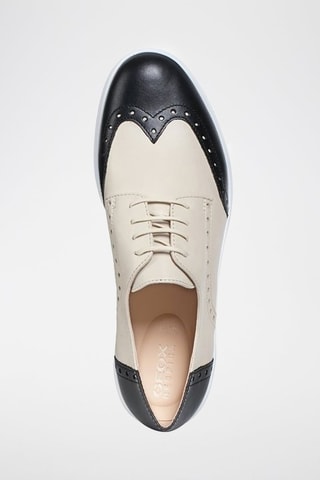 Derbys en cuir Arjola - Ecru et noir