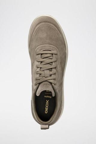 Baskets en cuir de veau nubuck Xtors - Taupe