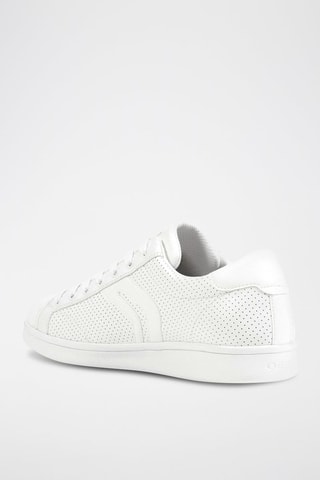 Baskets Warren - Blanc
