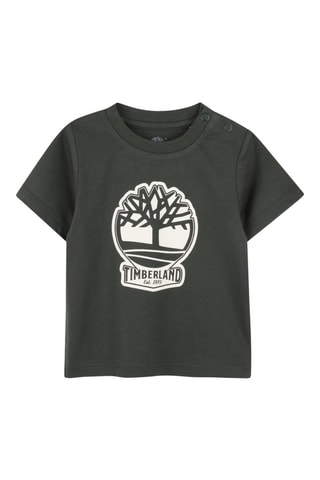 T-shirt - Vert - Timberland