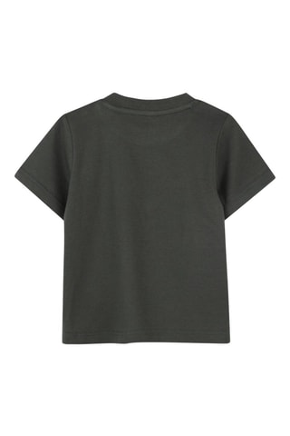 T-shirt - Vert - Timberland
