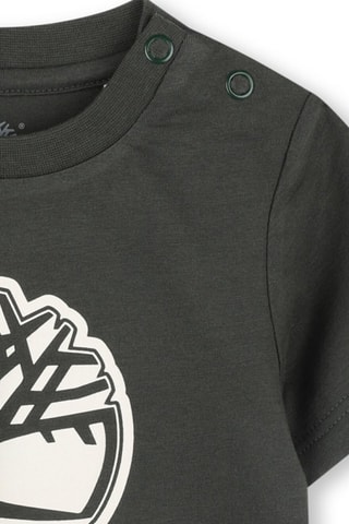 T-shirt - Vert - Timberland