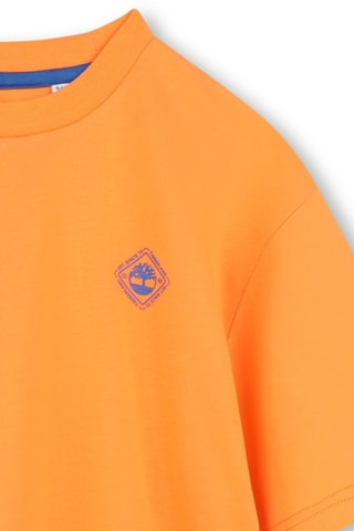 T-shirt - Orange - Timberland