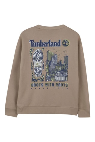 Sweat - Beige - Timberland