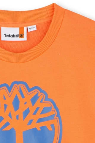 Sweat - Orange - Timberland