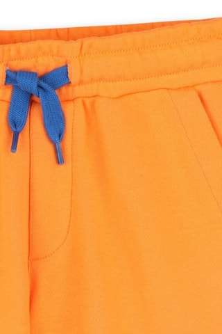 Bermuda - Orange - Timberland