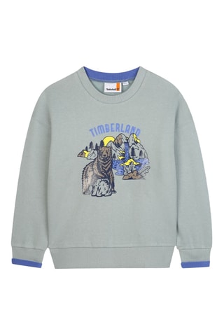 Sweat - Gris
