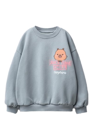 Sweat Capybara - Bleu-gris
