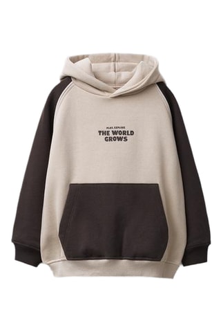 Sweat à capuche - Marron et beige