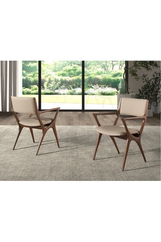 2 sedie in legno - 56 x 81 x 61 cm