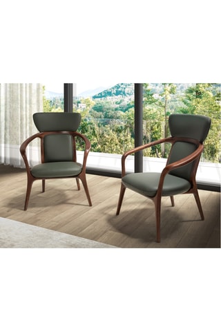 Poltrona - Verde e marrone