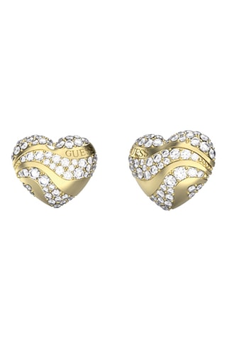 Puces In My Heart - Zircons