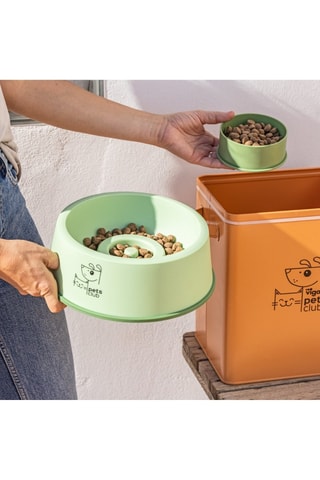 Set gamelle pour animaux - 24,7 × 24,7 × 9 cm