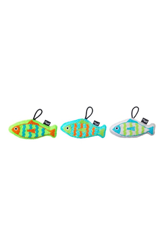 3 éponges sardine