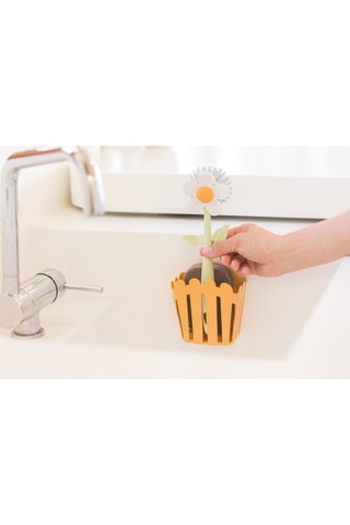 Brosse à vaisselle et éponge
