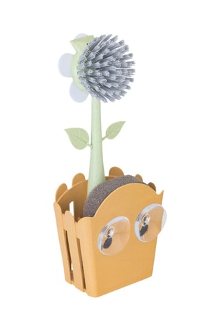 Brosse à vaisselle et éponge