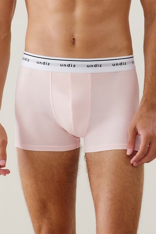 Boxer Boxeruniz - Rose