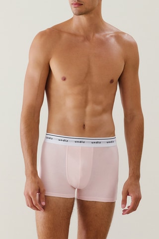 Boxer Boxeruniz - Rose