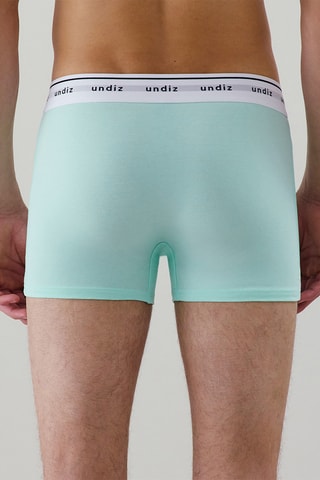 Boxer Boxeruniz - Vert d’eau
