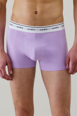 Boxer Boxeruniz - Mauve