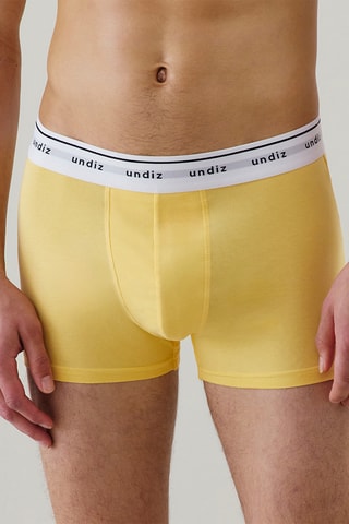 Boxer Boxeruniz - Jaune