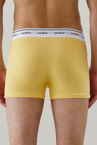 Boxer Boxeruniz - Jaune