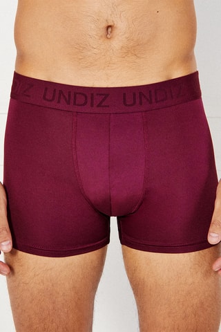 Boxer Repeatiz - Bordeaux
