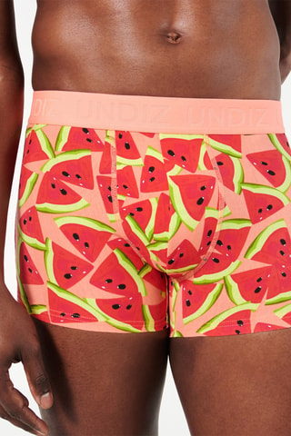 Boxer Repeatiz - Corail