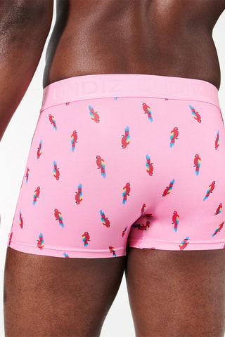 Boxer Repeatiz - Rose