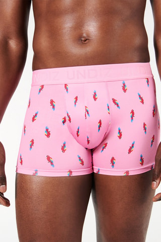 Boxer Repeatiz - Rose