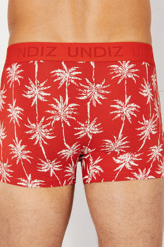 Boxer Repeatiz - Rouge brique