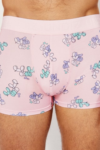 Boxer Repeatiz - Rose