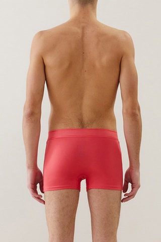 Boxer Beltbrightiz Douciz - Rose