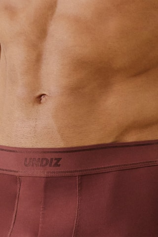 Boxer Beltbrightiz - Marron