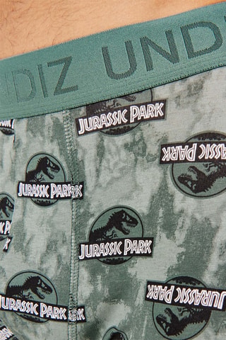 Boxer Juraparkiz - Vert