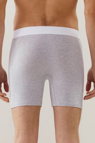 Boxer Longboxiz - Gris chiné