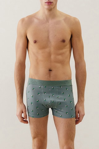 Boxer Repeatiz - Gris clair