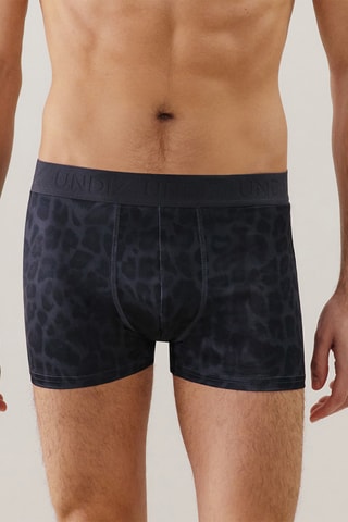 Boxer Repeatiz greyleopiz - Anthracite