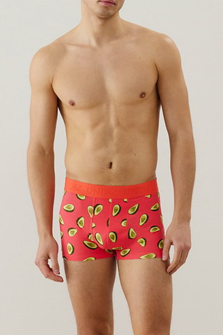 Boxer Repeatiz - Corail