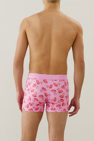 Boxer Repeatiz - Rose