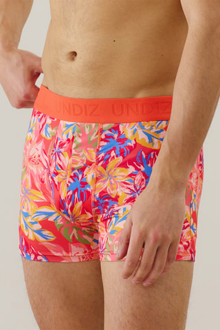 Boxer Repeatiz - Corail