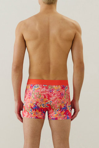 Boxer Repeatiz - Corail