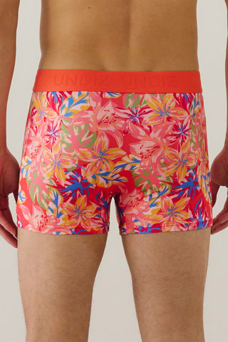 Boxer Repeatiz - Corail