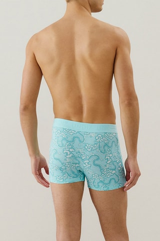 Boxer Repeatiz - Turquoise