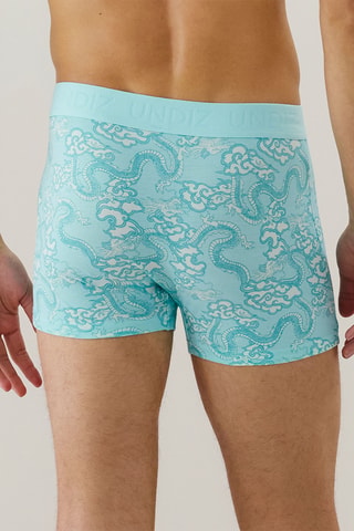 Boxer Repeatiz - Turquoise