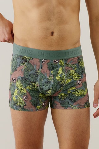 Boxer Repeatiz - Vert