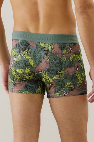 Boxer Repeatiz - Vert