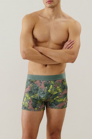 Boxer Repeatiz - Vert